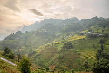 The green and yellow rice fields at the foot of the green mountains, in Asia, in Vietnam, in...