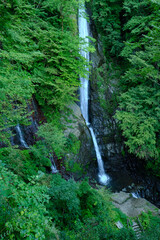 Shasui Falls, a 3-tier waterfall in Yamakita, Kanagawa, Japan.