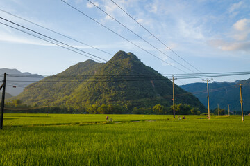 The green rice fields in the middle of the green mountains, in Asia, in Vietnam, in Tonkin, towards...
