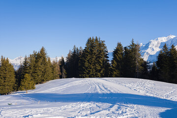 A path in the Mont Blanc massif in Europe, France, Rhone Alpes, Savoie, Alps, in winter on a sunny day.
