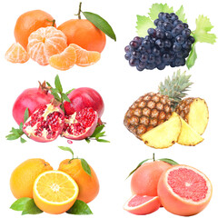 Set of fruits isolated