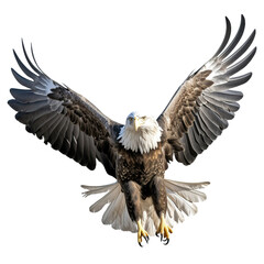 Eagle with outstretched wings on white background.