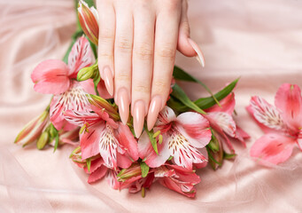 Elegant pastel pink natural manicure.