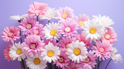  a bunch of pink and white daisies in a glass vase on a purple and purple background with a yellow center.
