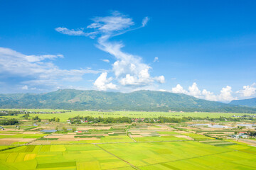 The traditional villages in the middle of the green and yellow rice fields in the valley, Asia, Vietnam, Tonkin, Dien Bien Phu, in summer, on a sunny day.