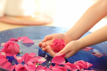 Child holding rose flower in bowl with water and petals on blurred background, closeup