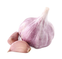 Head of fresh garlic and cloves isolated on white