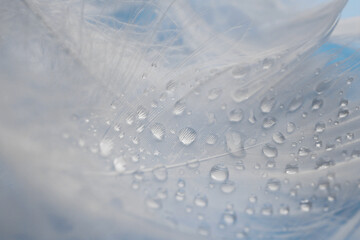 Many fluffy white feathers with water drops as background, closeup