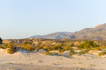 The nature reserve and its fine white sand, in Europe, Greece, Crete, Elafonisi, By the Mediterranean Sea, in summer, on a sunny day.