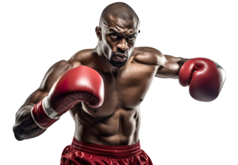 dynamic portrait of a male Afro-American boxer posing with gloves on transparent background