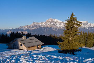 A chalet and a fir tree in the Mont Blanc massif in Europe, France, Rhone Alpes, Savoie, Alps, in winter, on a sunny day.