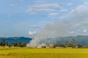 A thunderstorm in preparation in the middle of green and yellow rice fields and mountains, in Asia, in Vietnam, in Tonkin, in Dien Bien Phu, in summer, on a sunny day.