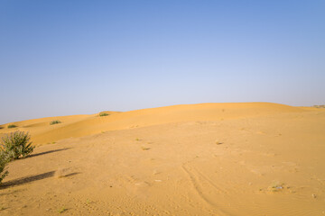 The desert in Asia, India, Rajasthan, Jaisalmer in summer on a sunny day.