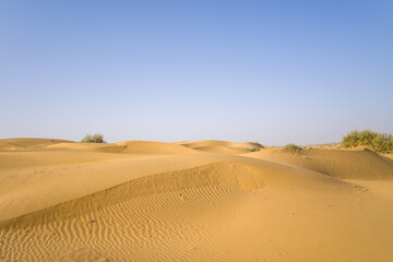 The desert in Asia, India, Rajasthan, Jaisalmer in summer on a sunny day.