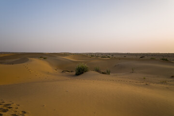 Fototapeta na wymiar The desert in Asia, India, Rajasthan, Jaisalmer in summer on a sunny day.