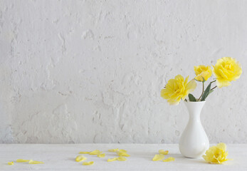 yellow roses in white vase on background white wall