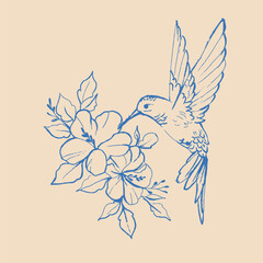 hummingbird in flight © NATALIIA TOSUN