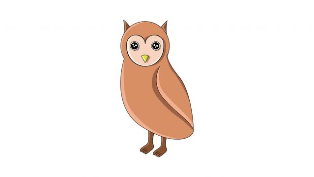 Animation forms an owl icon