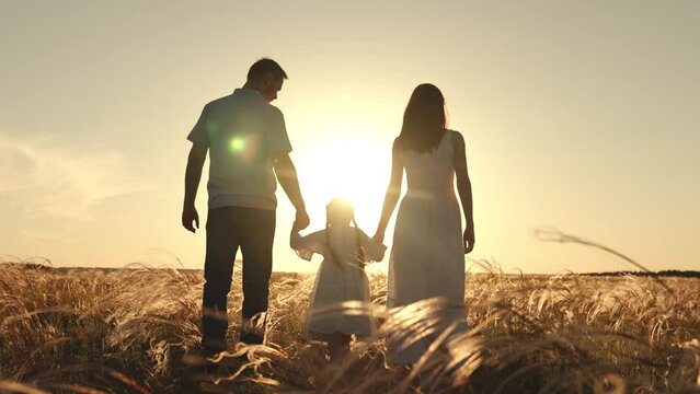 Silhouettes of spouses with daughter walk along field of wheat in evening enjoying time in circle of family. Silhouettes of father and mother with girl in light summer dress with long braids at sunset