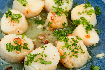 Seared scallops on a plate