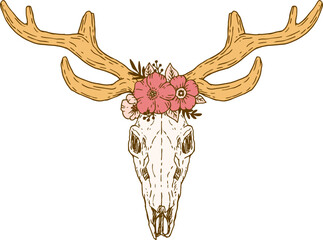Bohemian Deer Skull with Floral