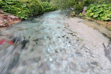 Bluish water, Bistrice river running to end in the Ionian sea downstream from the Blue Eye main water spring. Muzine-Finiq-Albania-178