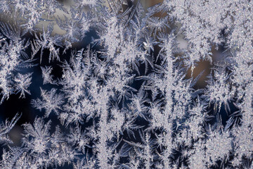 frosty patterns on the window frosty background Ice on a window black white