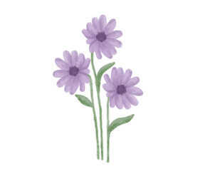 purple flower