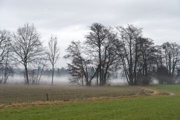 wafts of fog in the mountains of Austria