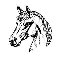 Freedom in Lines Hand-Drawn Horse Silhouettes and Graphic Engravings - Equestrian Illustration Collection for Business and Artistic Designs