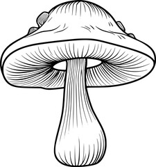 outline illustration of mushroom for coloring page - obrazy, fototapety, plakaty
