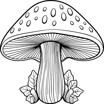 outline illustration of mushroom for coloring page