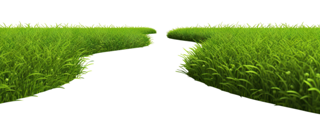 Green grass cut out