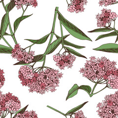 Swamp Milkweed Wildflower seamless pattern