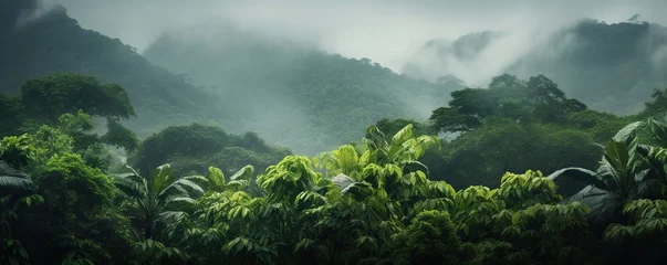 Zelfklevend Fotobehang view of tropical forest with fog in the morning during the rainy season   © nomesart