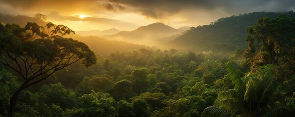 view of tropical forest with fog in the afternoon during the rainy season - obrazy, fototapety, plakaty