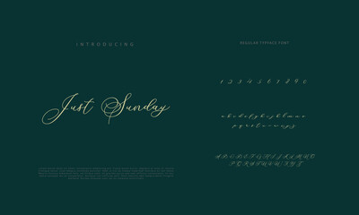 Signature Font Calligraphy Logotype Script Brush Font Type Font lettering handwritten
