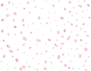 Pink Spring Japanese Cherry petals.