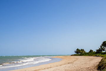 Maceió Beach Caribbean Brazil and Maragogi