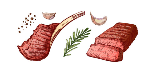 Organic food. Hand drawn colored vector sketch of grilled beef steak, piece of meat on the bone with rosemary and garlic.  Decorations for menu. Engraved image.