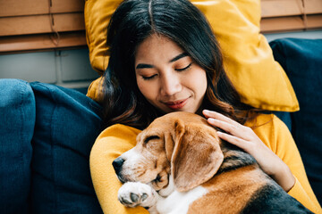 A woman and her Beagle dog enjoy a relaxing nap on the sofa in the living room, highlighting the...