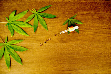Cannabis leaves on the table in the laboratory for the preparation of medicines