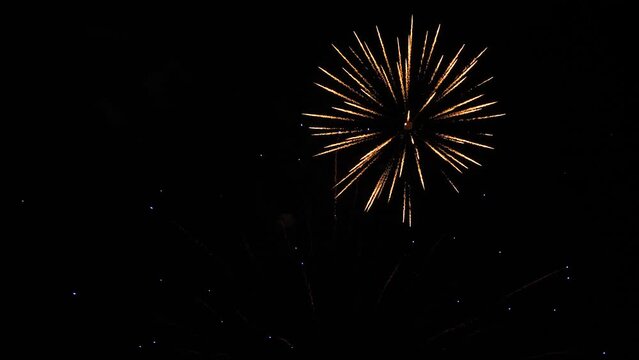 Multicolor fireworks sparks fly across black night sky on holiday event. Festive dazzling display with firework bursts against darkness during party. Fireworks show on public holiday for audience
