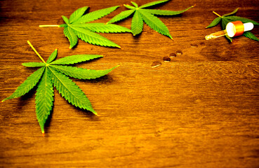 Cannabis leaves on the table in the laboratory for the preparation of medicines 