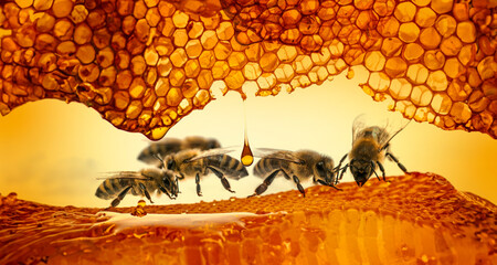honey and bees close up in detail