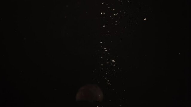 Big mandarin slice splashing underwater in aquarium, water bubbles slow motion