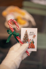 Still life that transmits the New Year's atmosphere