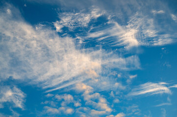 Clouds sunset are streaks and blue sky.Flushed, fluffy white clouds scatter in full light clear sky.