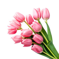 bouquet of pink tulips, png