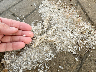 Salt on the street, used to melt snow, peace of salt in the hand